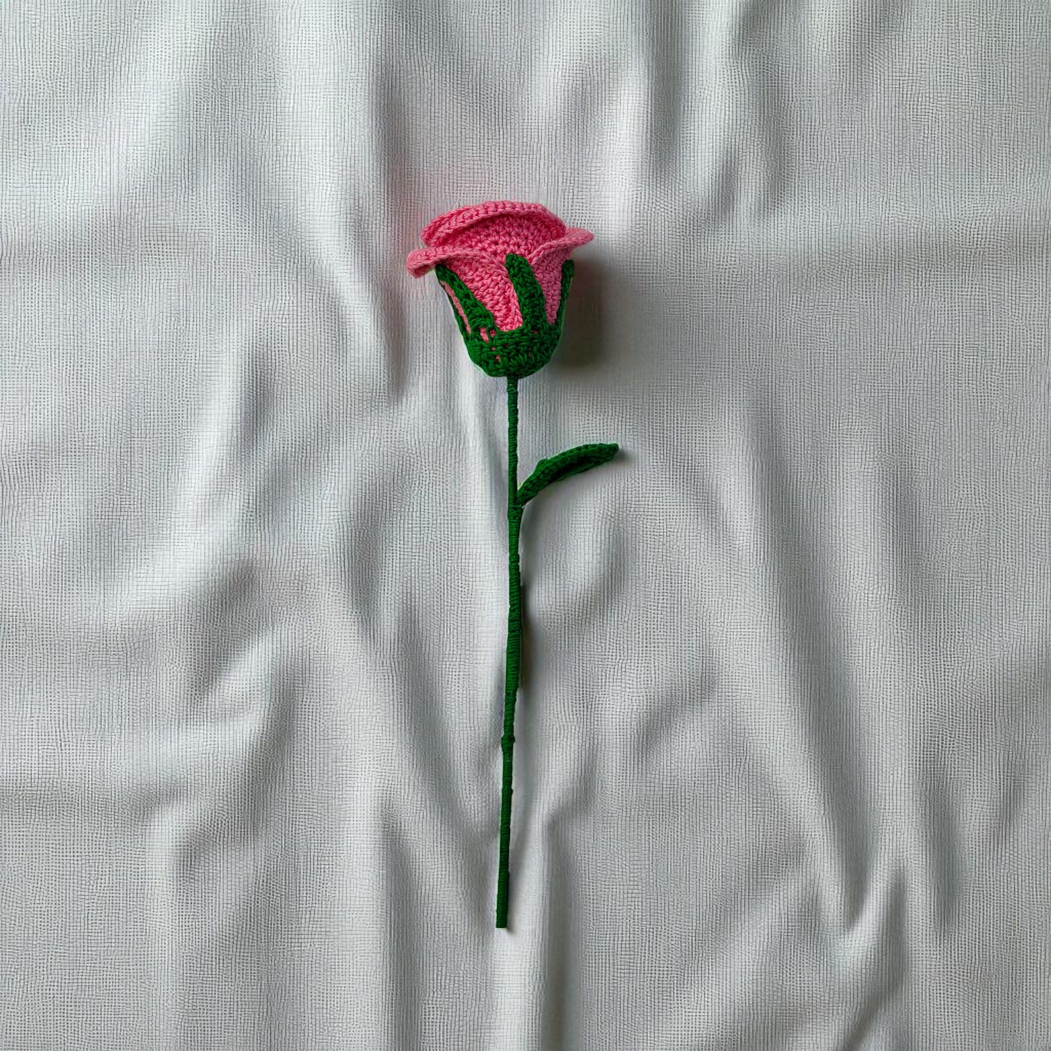 IMG-20250703-WA0027-Photoroom