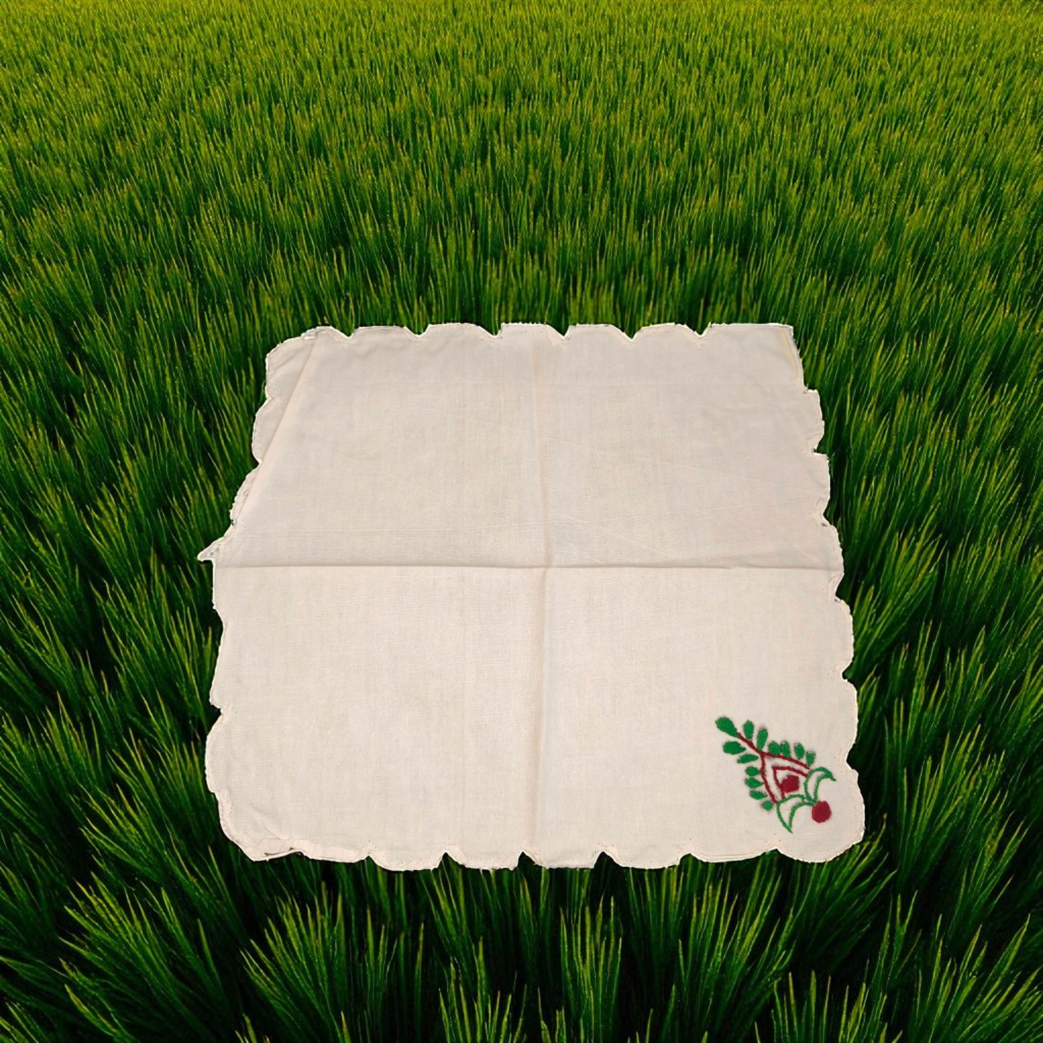 IMG20250721193409-Photoroom