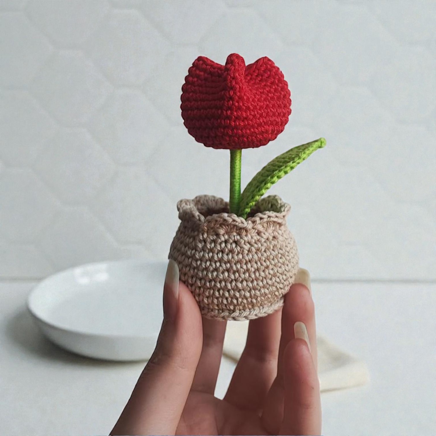 WhatsApp Image 2026-01-24 at 9.23.30 PM